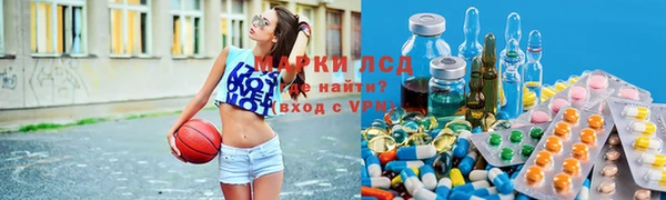 стаф Алексин