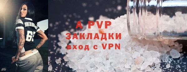 стаф Алексин