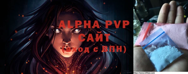 стаф Алексин