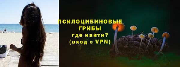 стаф Алексин