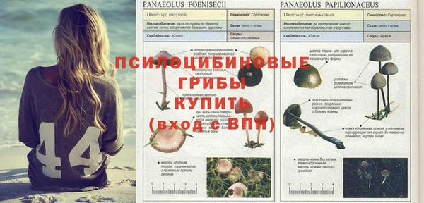 меф Алексеевка