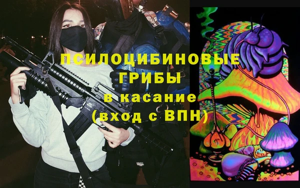 стаф Алексин