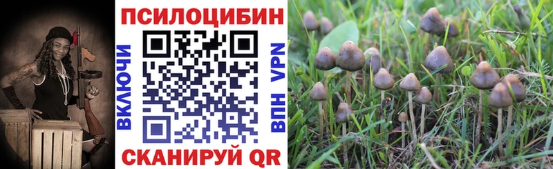 купить наркоту Нурлат Галлюциногенные грибы GOLDEN TEACHER