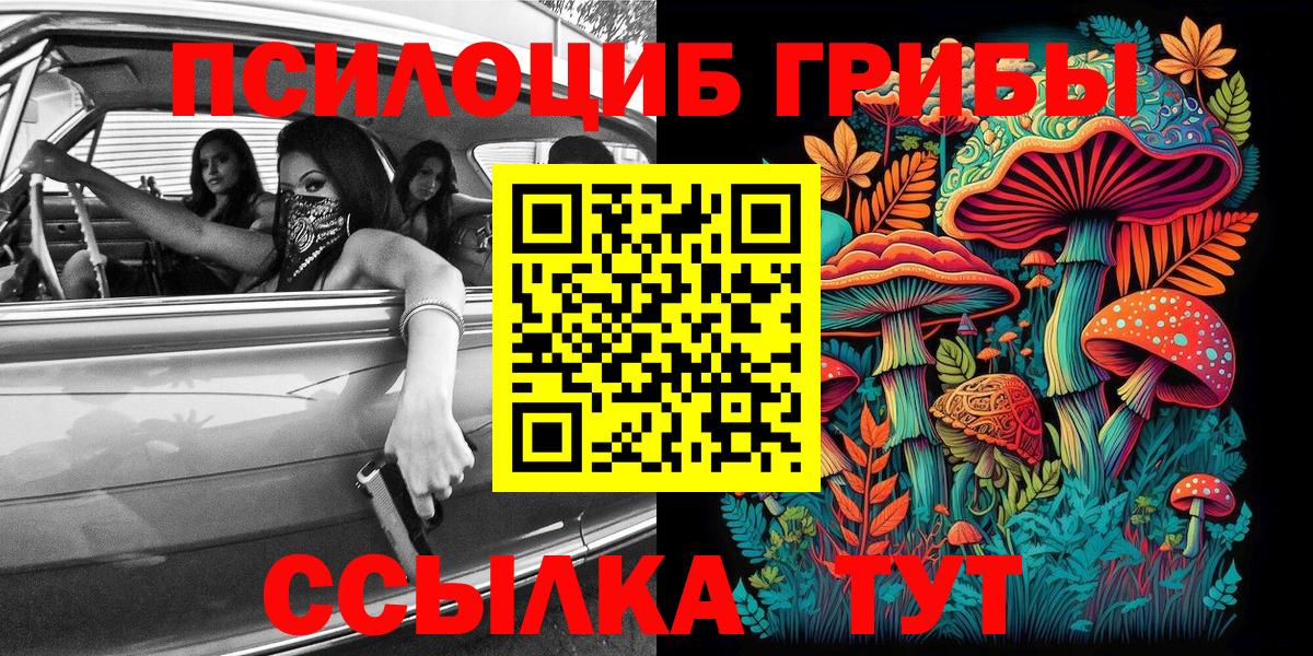 Псилоцибиновые грибы Cubensis Нурлат